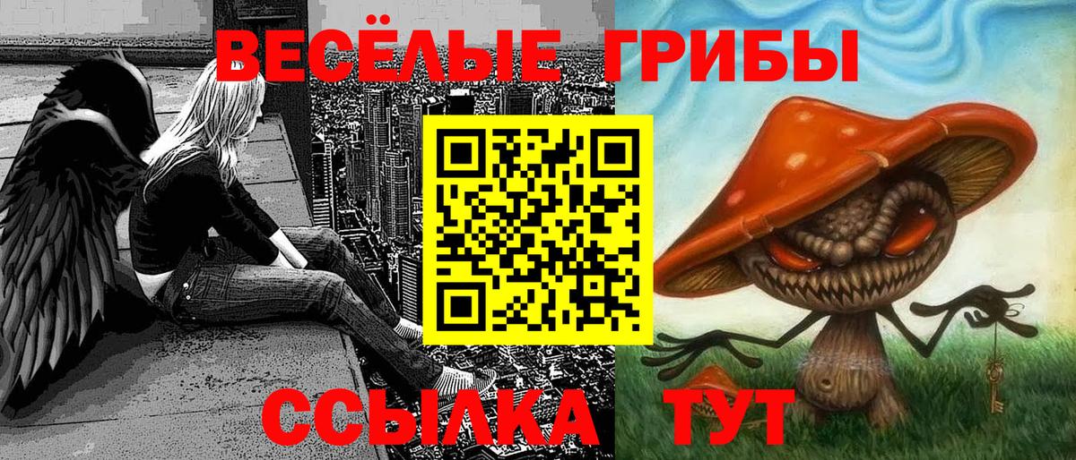 Сокол  Псилоцибиновые грибы мицелий  Вход с VPN  Галлюциногенные грибы мухоморы 