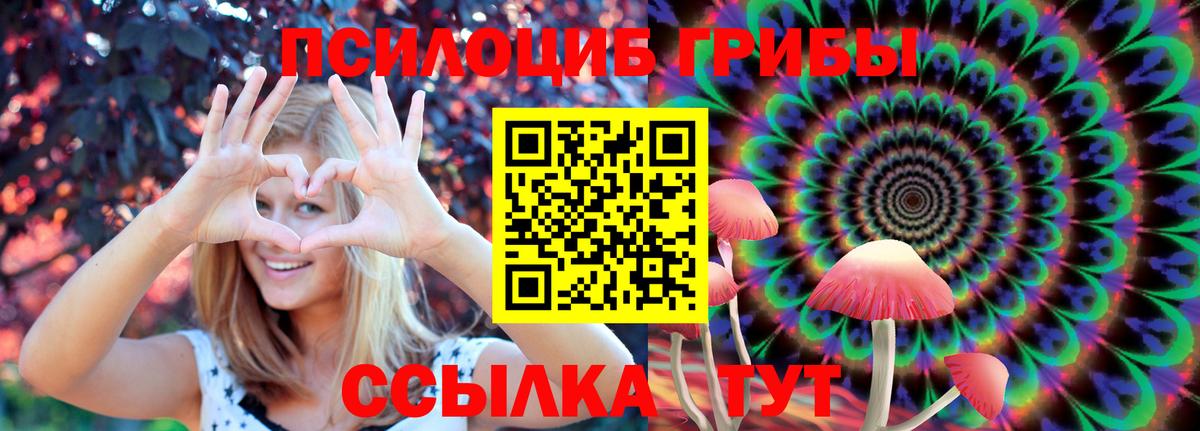Галлюциногенные грибы Magic Shrooms Сокол